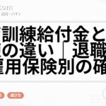 教育訓練給付金と職業訓練の違い|退職前後・雇用保険別の確認順