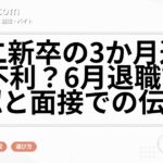 第二新卒の3か月退職は不利？6月退職前の確認と面接での伝え方
